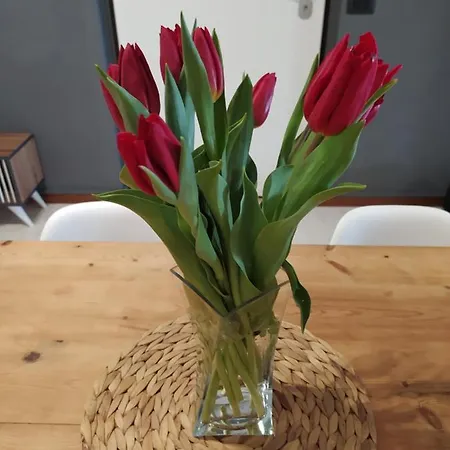 De Dominici's House דירה