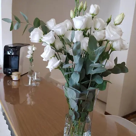 De Dominici's House شقة *