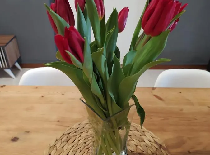 De Dominici's House Апартаменты