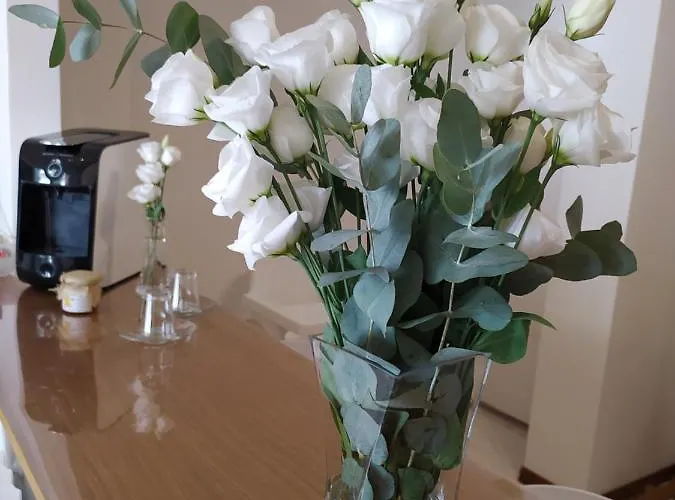 De Dominici's House Апартаменты *